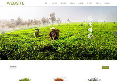 922-茶叶-绿色