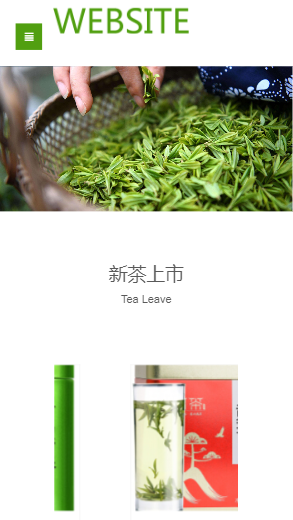 566-茶叶-绿