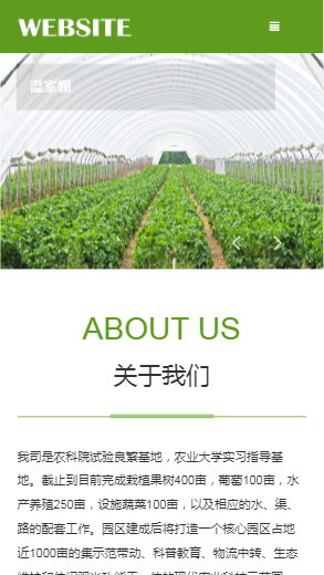 935-瓜果蔬菜-绿色