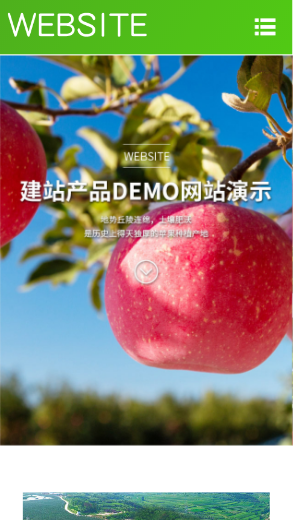 941-果品种植-绿色