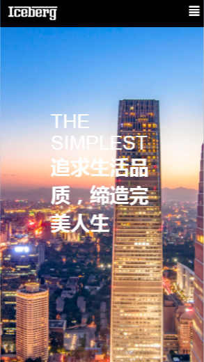 372-展示型官网
