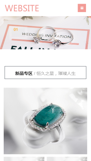 580-珠宝-粉