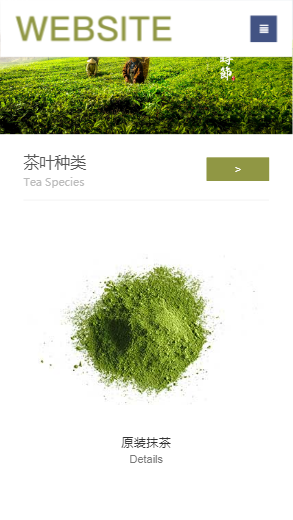 922-茶叶-绿色